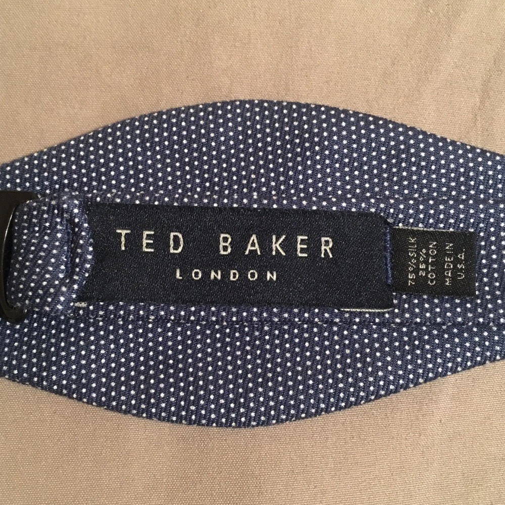 Ted Baker Blue Cotton Silk Bow Tie